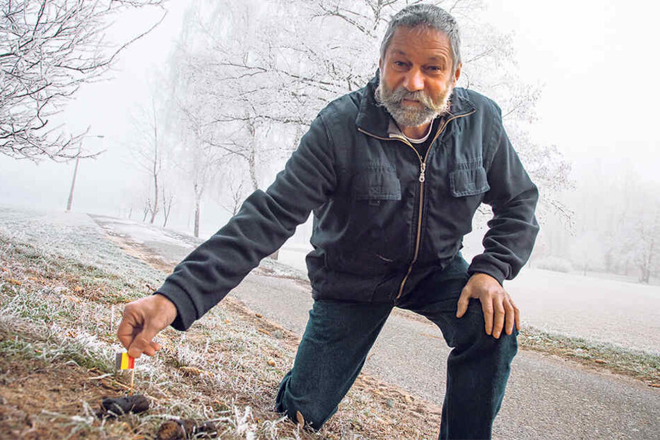 Friedmar Gaertner (55) markiert die Hundehaufen rund um sein Grundstück mit Fähnchen. Er hofft, dass die Besitzer der Vierbeiner so ein schlechtes Gewissen bekommen.