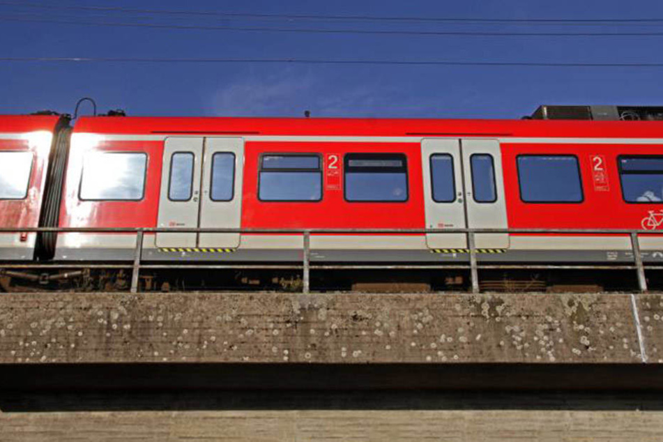 Der Musiker vergaß seinen Bogen in der S-Bahn. Leider fiel er einem unehrlichen Finder in die Hände.