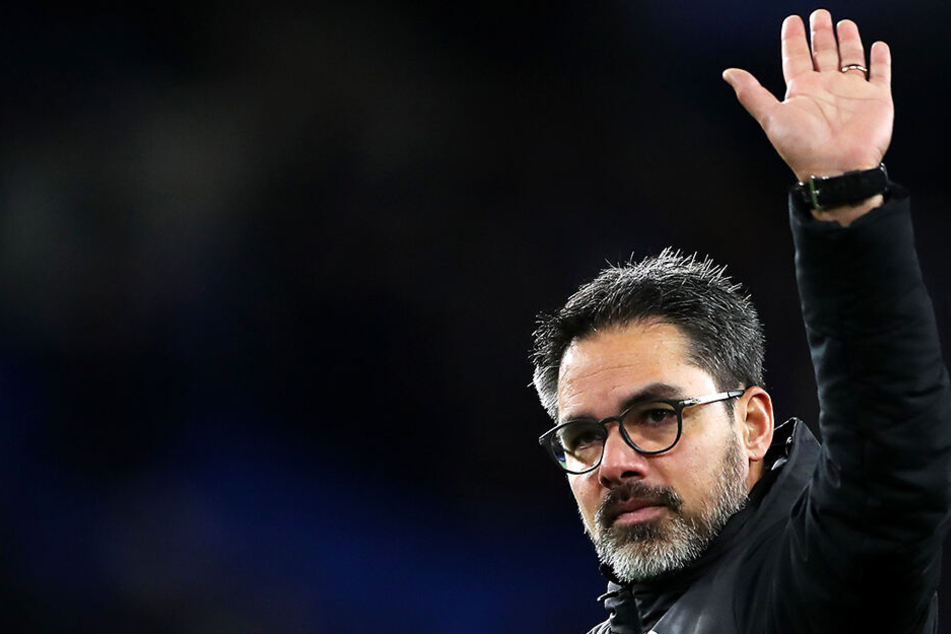 Tschüss, Premier League: Trainer David Wagner ist von seinem Posten als Trainer bei Huddersfield Town zurückgetreten.