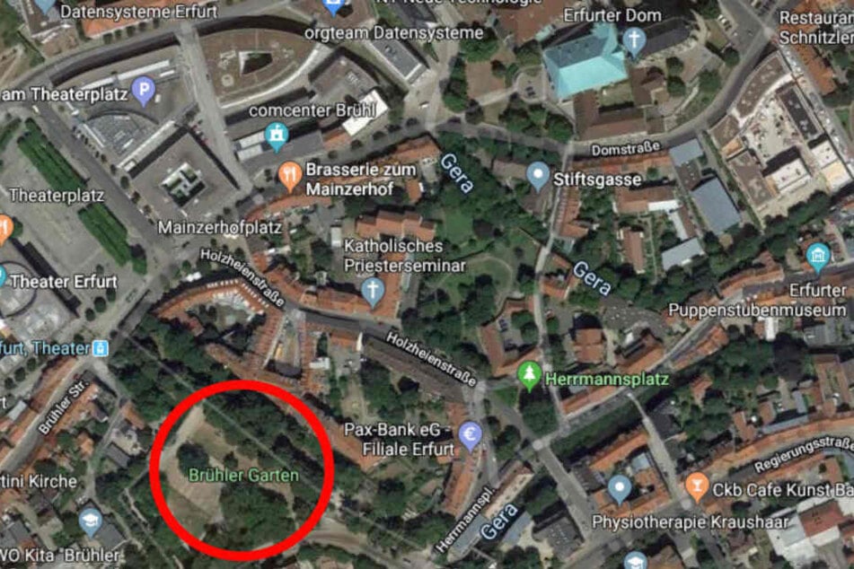 Tragischer Fund In Der Innenstadt Leiche In Park Entdeckt