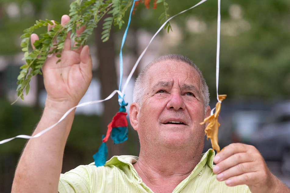 Kurt Bernert (70) befreit einen Baum von Luftballon-Resten. Denn die zerplatzten Latex-Schläuche und die Strippen stellen für Vögel eine Todesfalle dar. Der Senior befindet sich auf Aufklärungs-Mission.