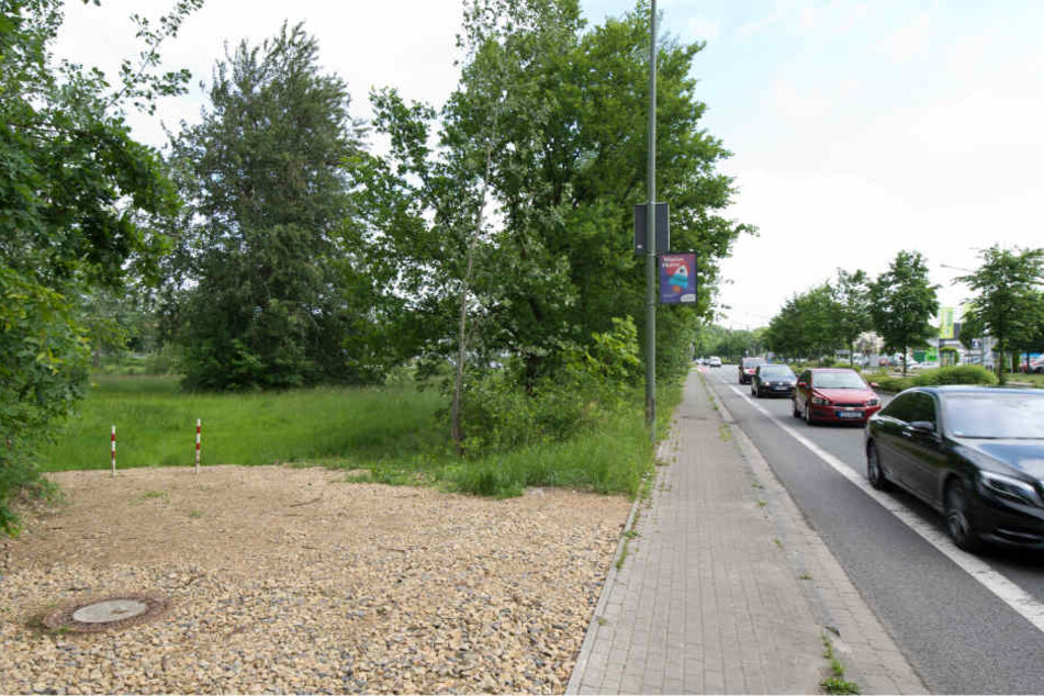 Eltern eines Babys haben bei der Polizei angegeben, dass ihr Sohn auf der Wiese von einem fremden Hund attackiert und lebensgefährlich verletzt wurde.