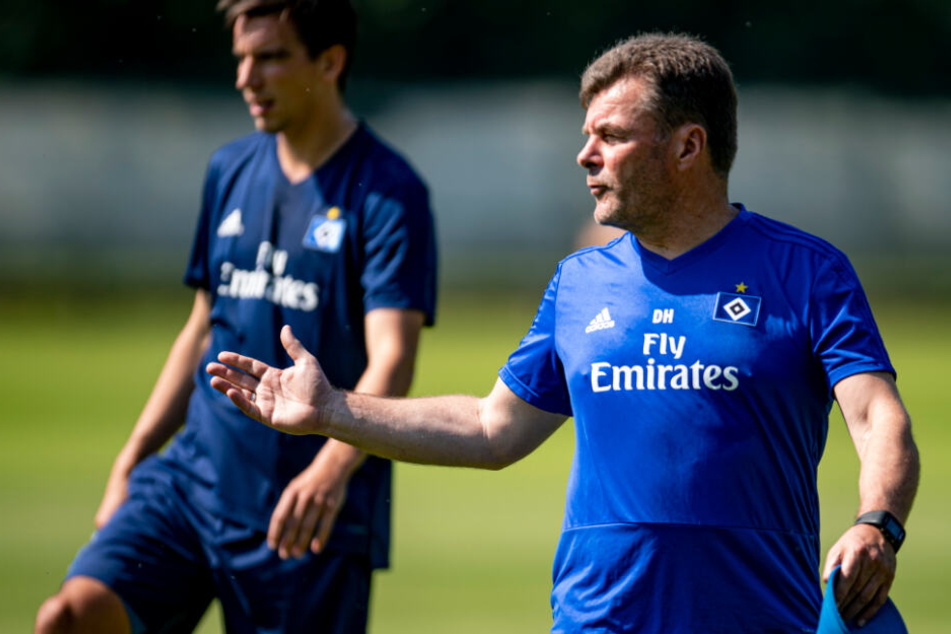 Vor HSV-Trainer Dieter Hecking liegt noch viel Arbeit.