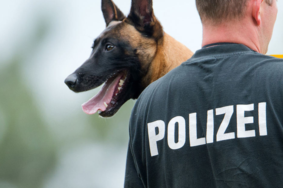 Die Hunde erleben viel in ihrer Dienstzeit, daher sollen sie auch danach angemessen unterstützt werden.