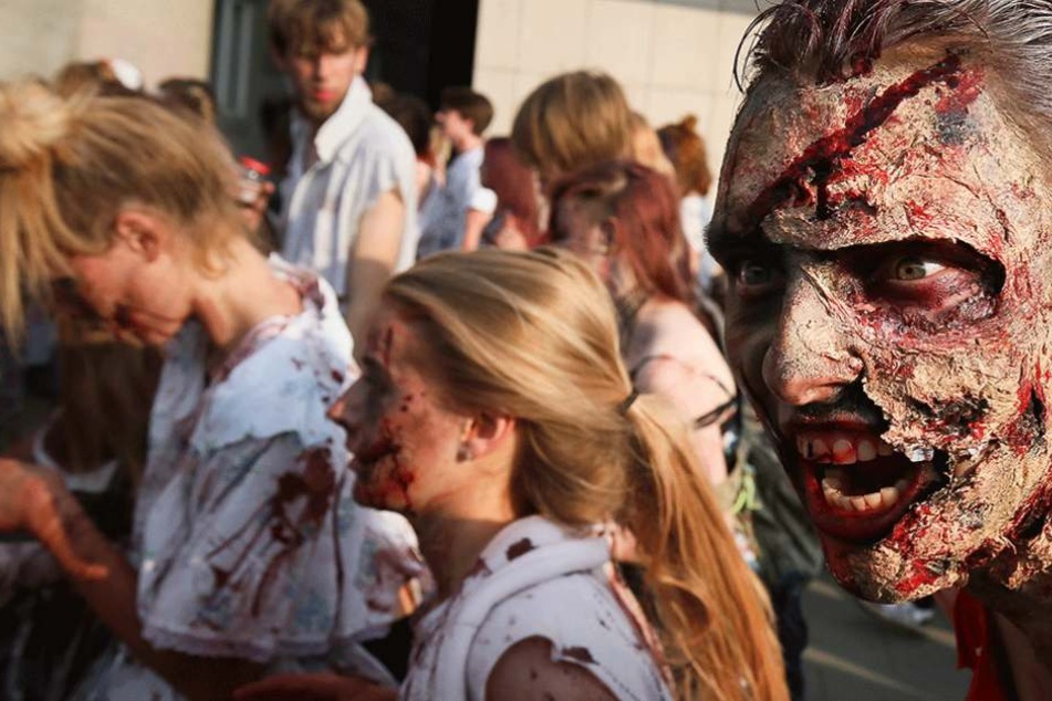 In Illionois werden die Menschen vorbereitet sein, sollten die Zombies kommen.