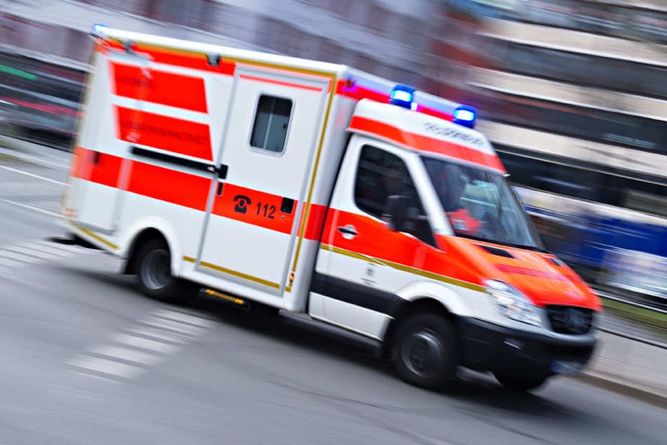 Bei einem Frontalcrash wurden fünf Personen und ein Hund verletzt (Symbolbild).