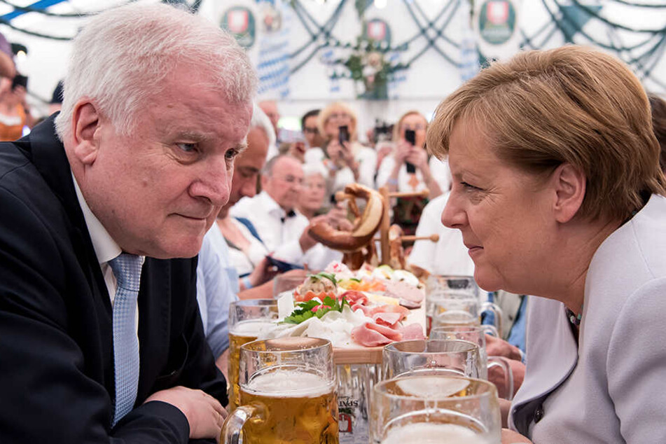 Rivalen oder Bundesgenossen? Horst Seehofer (links) fordert einen konservativeren Kurs seiner Partei.