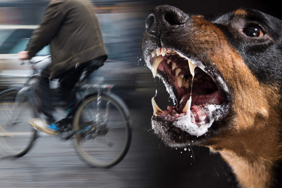 Die Deutschen sollen Hunde auf zwei Afrikaner gehetzt haben. (Bildmontage)