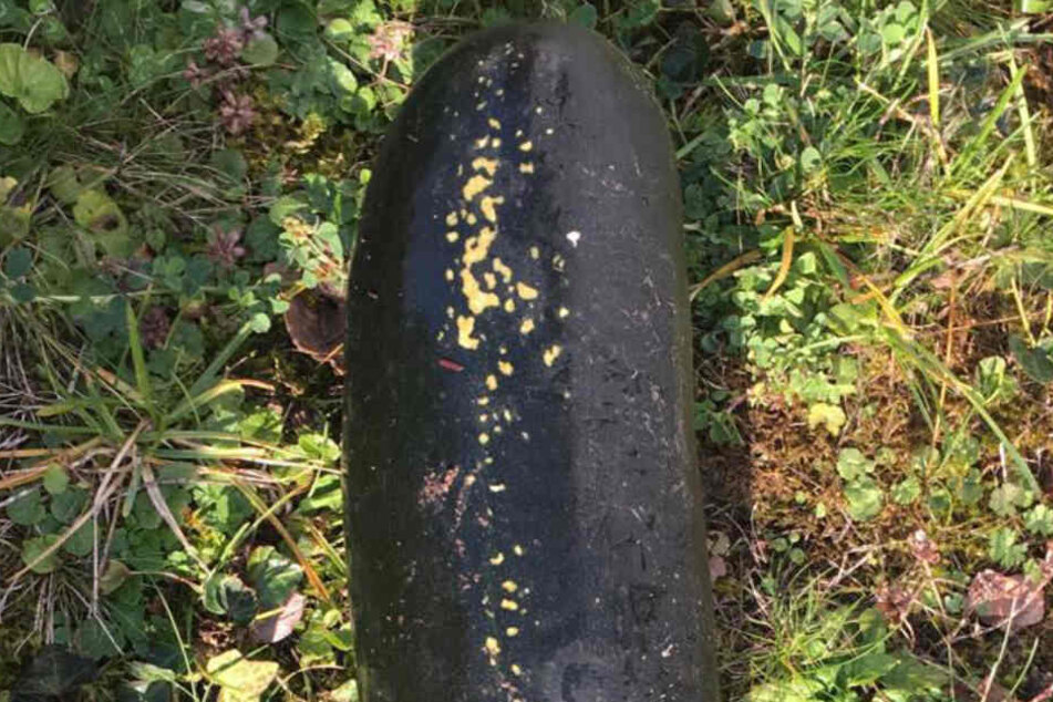 Diese Zucchini ist allenfalls eine Vitaminbombe.