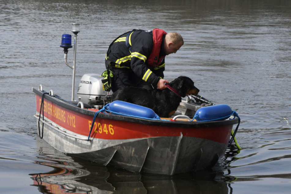 Per Boot haben die Feuerwehrleute Hündin Lotte aus dem Öjendorfer See gerettet.