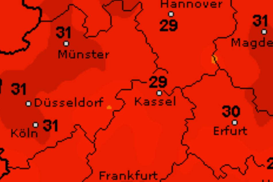 Hochsommerliche Temperaturen erwarten uns kommende Woche.