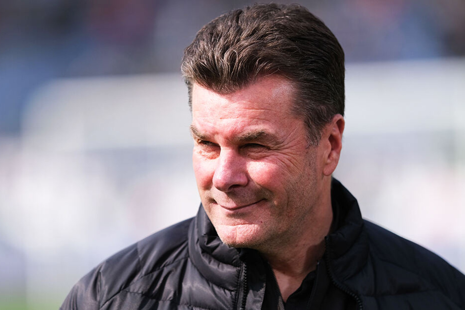 Dieter Hecking könnte Schalke mit all seiner Erfahrung stabilisieren.