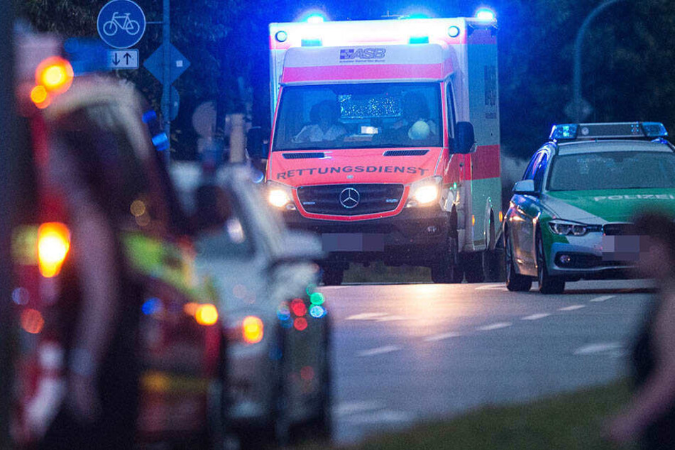 Ein Fußgänger und dessen Hund wurden in Naumburg von einem Auto erfassst und getötet. (Symbolbild)