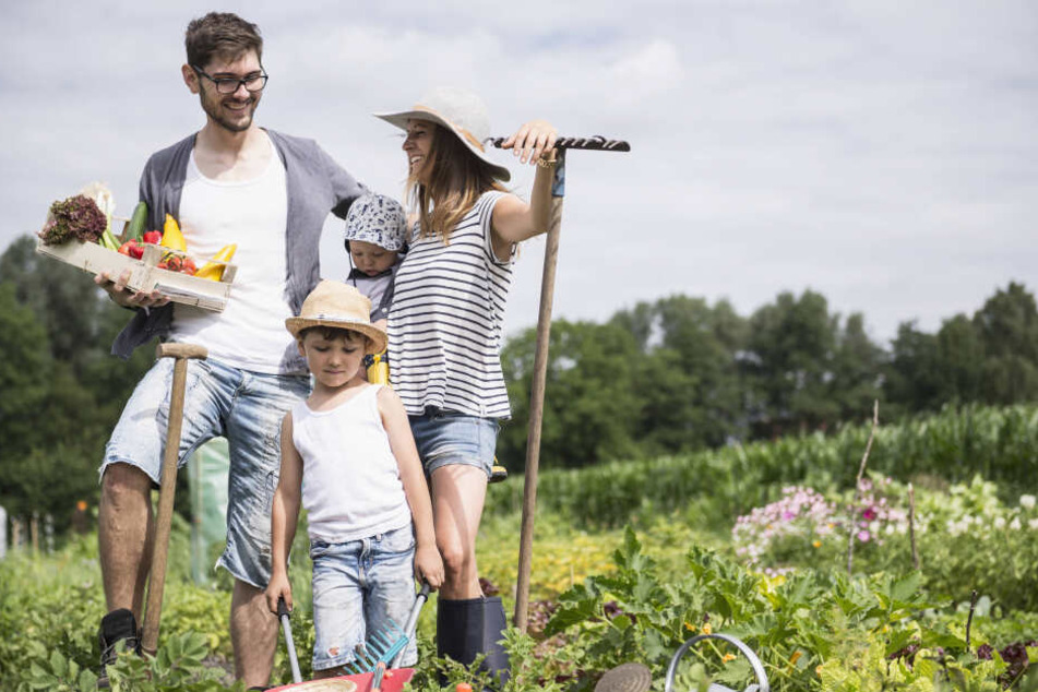 Wasser, Sonne und ein grüner Daumen - die wichtigsten Zutaten fürs Gärtnerglück.