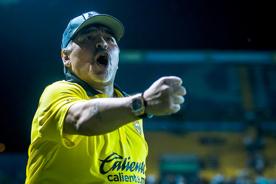 Trainiert seit Anfang September den mexikanischen Zweitligisten Dorados de Sinaloa: Diego Armando Maradona.
