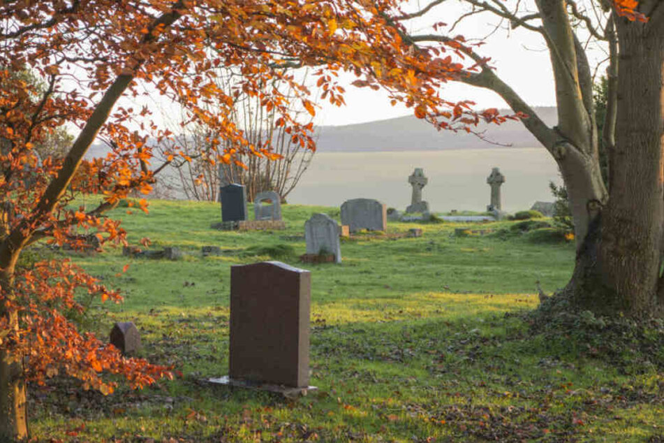 Der Diebstahl geschah auf einem Friedhof. (Symbolbild)