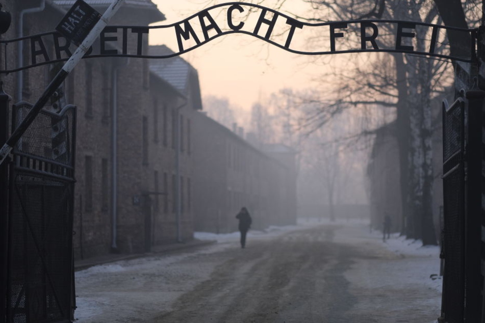 Die Fälle betreffen die Konzentrationslager Ravensbrück, Mauthausen, Buchenwald und Auschwitz.