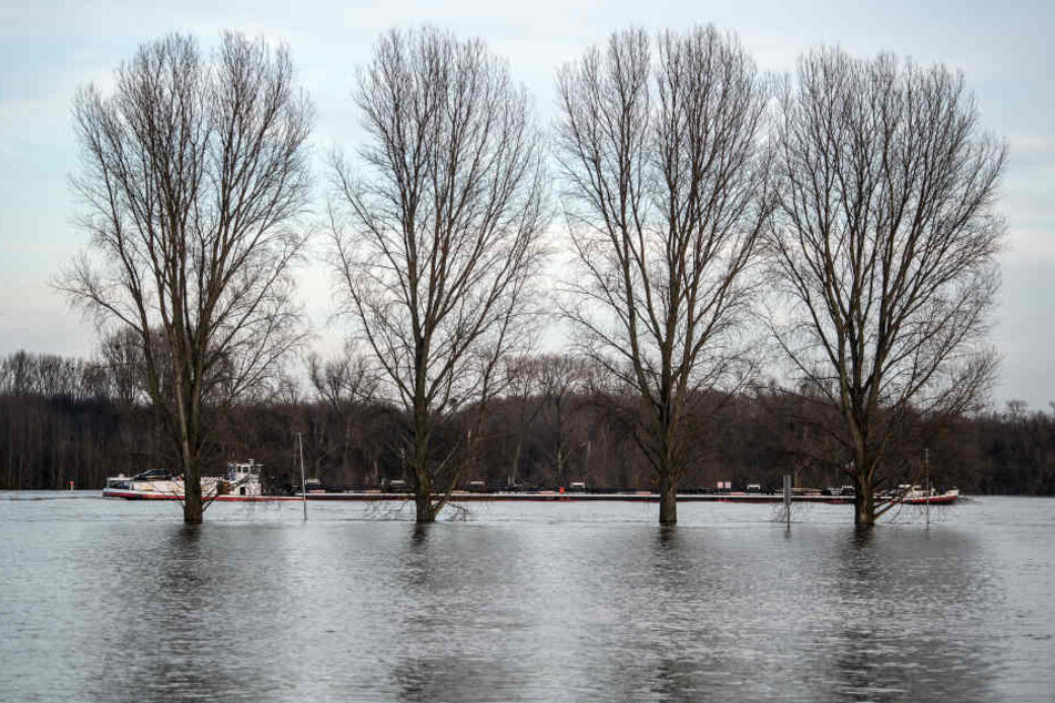 Auch die Pegelstände des Rheins zwischen Mainz und Wiesbaden sind gesunken. (Symbolbild)
