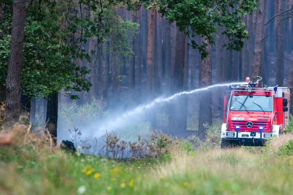 Die Feuerwehr löscht ein Glutnest des Waldbrandes bei Lübtheen