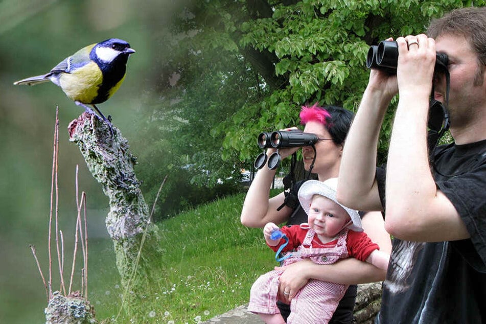 Ein Fest für Vogelfreunde.