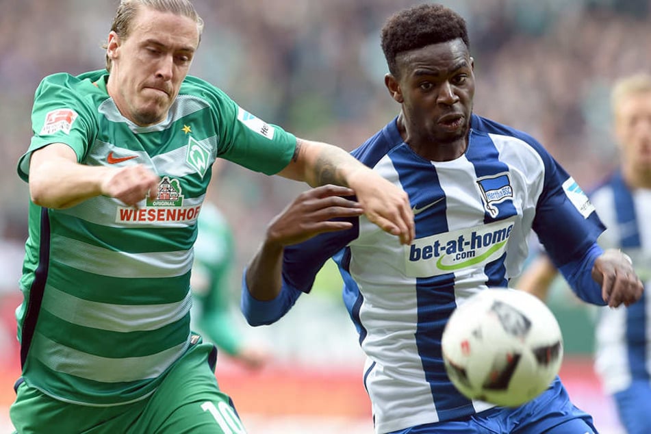 Bremens Max Kruse kämpft mit Jordan Torunarigha (r) um den Ball.