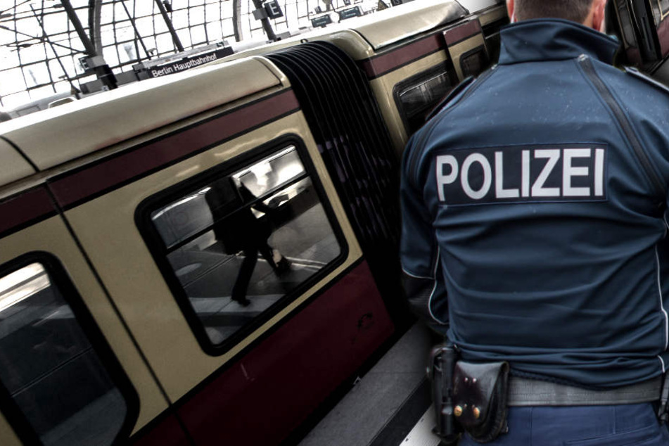 Am Berliner Hauptbahnhof konnte der Mann aus Tunesien unter Widerstand festgenommen werden. (Bildmontage)