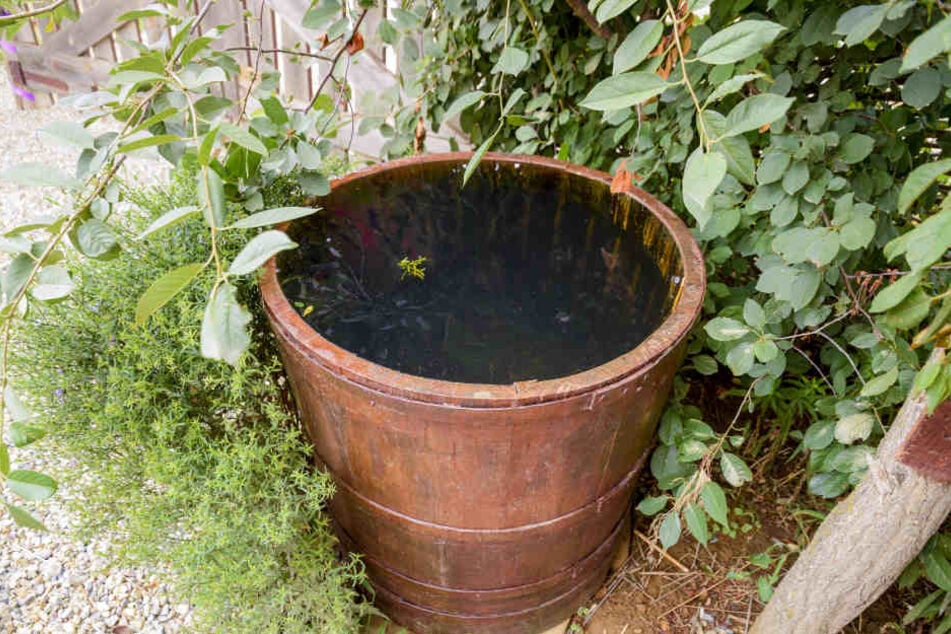 Die Leiche wurde in einer Tonne versteckt. (Symbolbild)