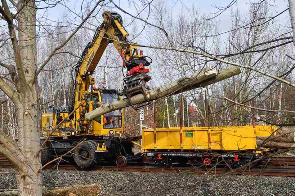Für den neuen Haltepunkt im Küchwald muss erst das Grün weg. Montag begannen die Arbeiten am 1,3-Millionen-Euro-Projekt.