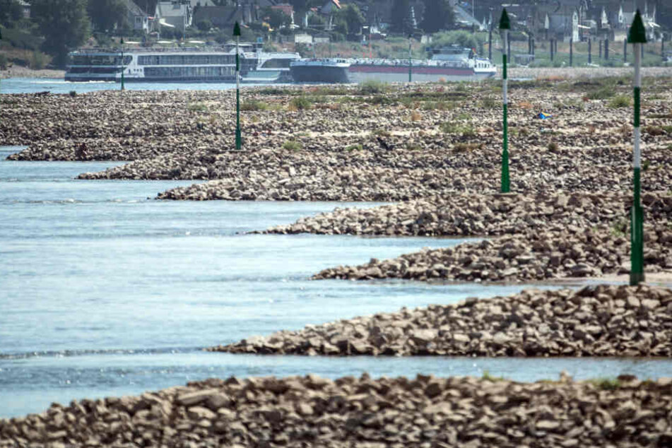 2018 war der Pegel des Rhein monatelang zu niedrig.