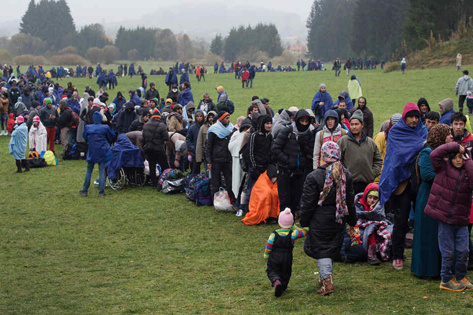 Vom rumänischen Timisoara geht es für die Migranten nach Deutschland.