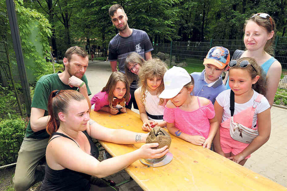 Pflegerin Bianca Assmann (21) und Tierparkpädagoge Jan Klösters (36) wiegen das Gürteltier mit den Besuchern.