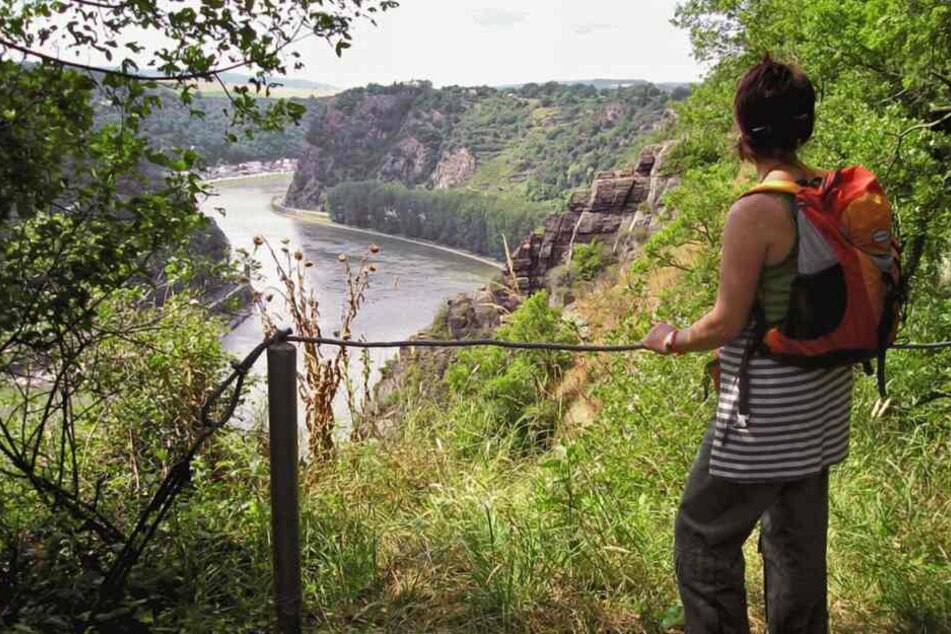 Ein Jogger soll eine 32-jährige Rheinsteig-Wanderin sexuell bedrängt und attackiert haben.