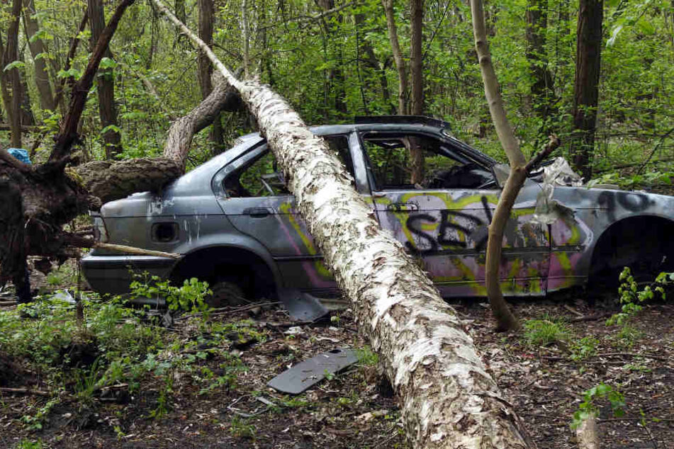 Bevor sich die Natur die -Schrottkiste zurück holt, lässt das Amt den Ex-BMW
bergen. Nur wie?