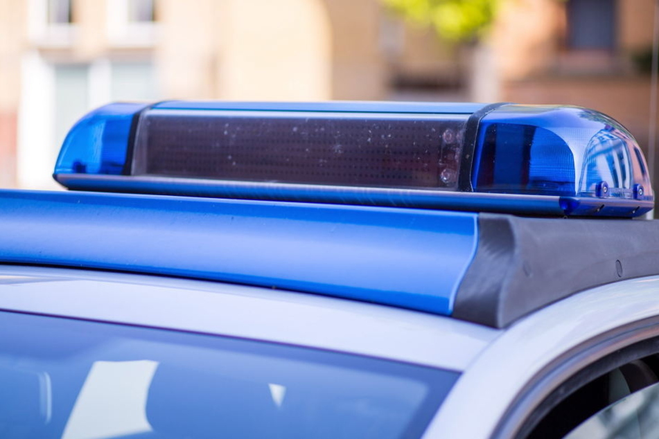 Dank akribischer Polizeiarbeit konnte ein Leipziger Seriendieb und Tierquäler verhaftet werden. (Symbolbild)