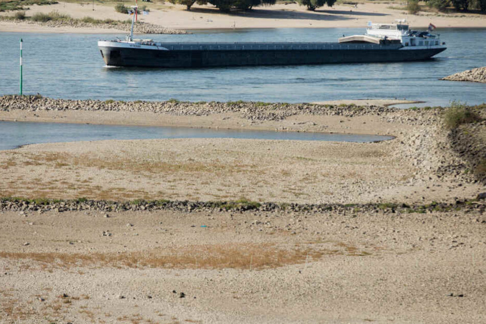 Die Dürre hatte letztes Jahr zu großen Problemen in der Rheinschifffahrt geführt. (Archivbild)
