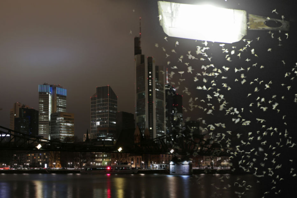 Eine Senkung der Lichtverschmutzung als Beitrag zum Arten- und Klimaschutz (Symbolfoto).
