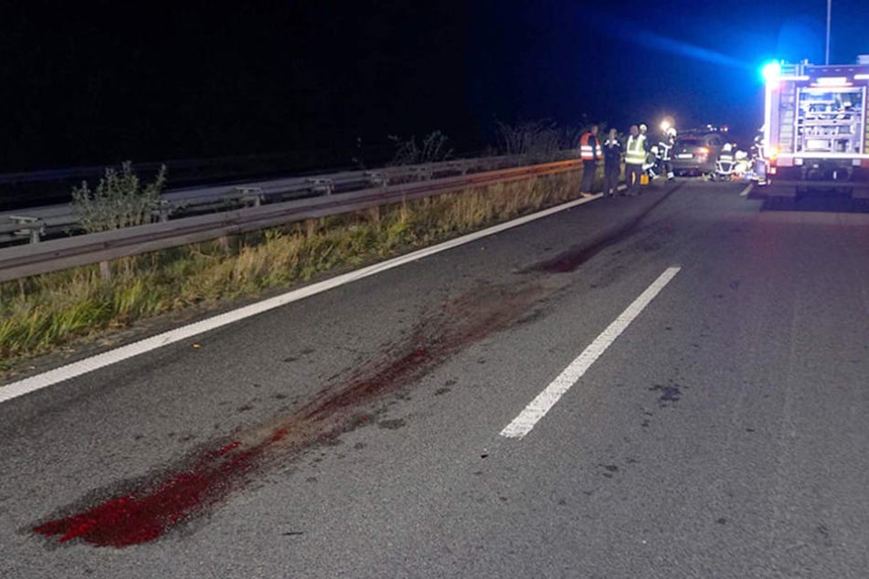 Das Wildschwein geriet unter einen BMW und wurde mitgeschleift. Eine Blutspur zeugt davon.
