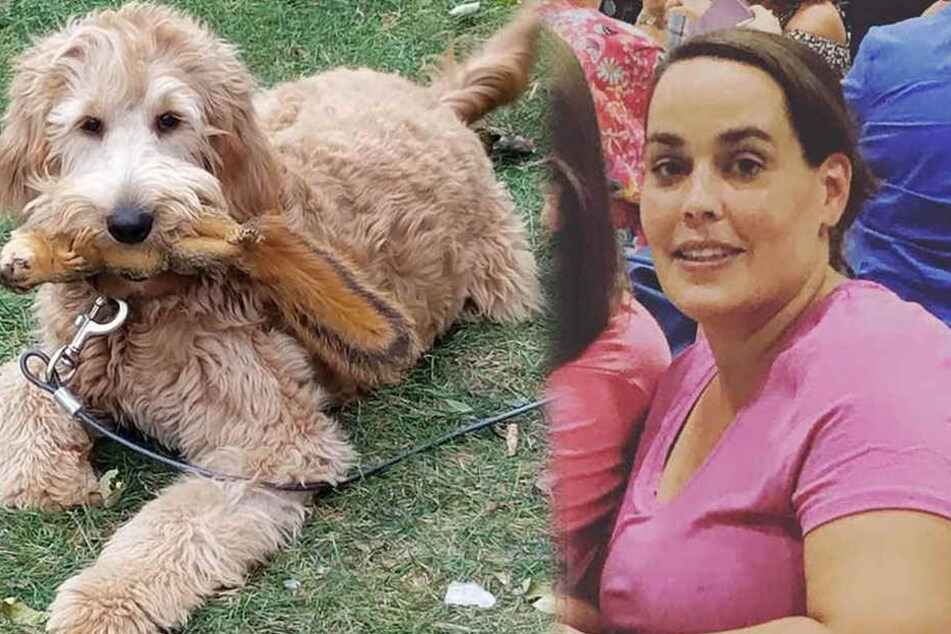 Tracy wollte ihren Hund aus dem gefrorenen See retten, doch sie brach selbst ins Eis ein und ertrank.