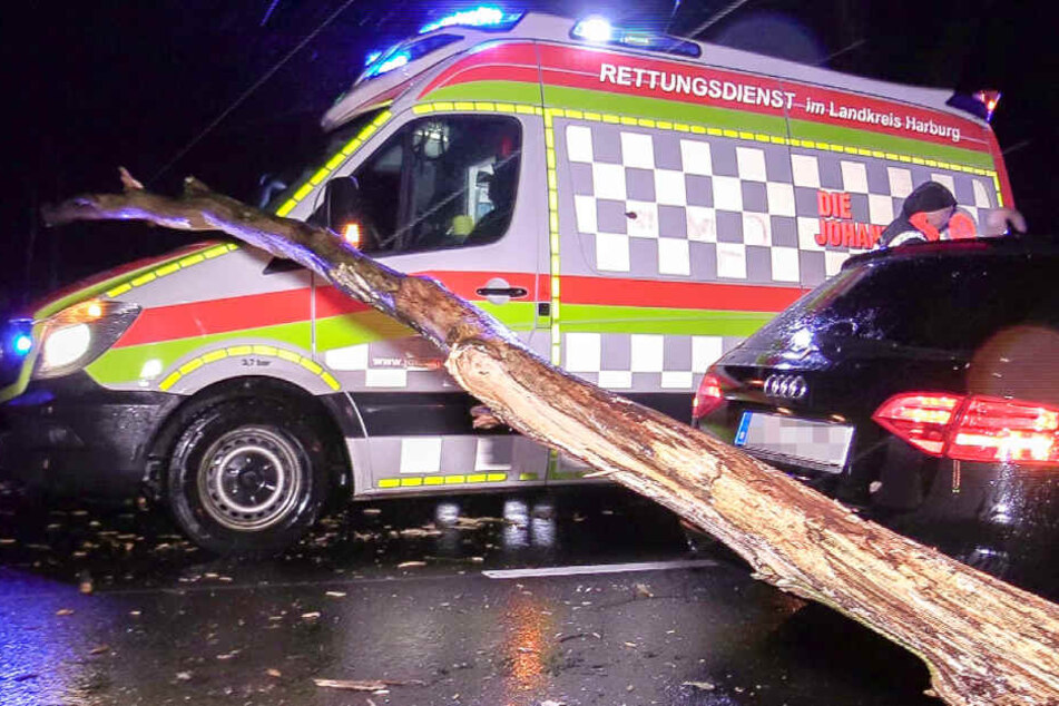 Ein Rettungswagen konnte einem Baum nicht mehr ausweichen.