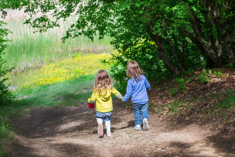 Plötzlich liefen zwei große Hunde auf die Kindergarten-Gruppe zu. Von eventuellen Haltern war weit und breit nichts zu sehen (Symbolbild).