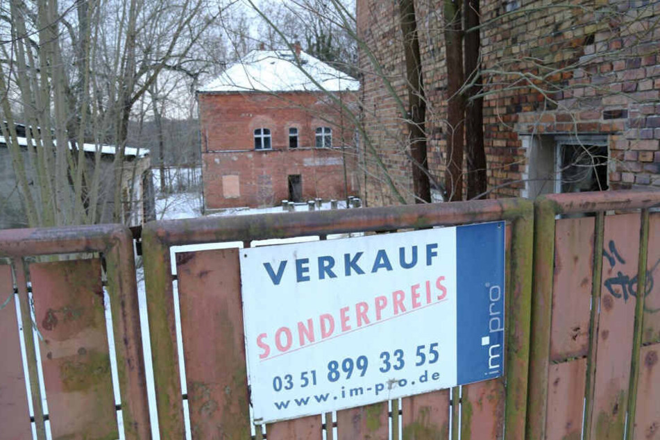 Ende einer Hängepartie? Im Besitz des Freistaates könnte das historische
Brauereigebäude wieder ein Schmuckstück werden.