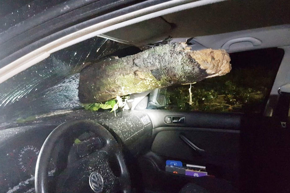 Um Haaresbreite verpasste der Ast den 27-jährigen Fahrer.