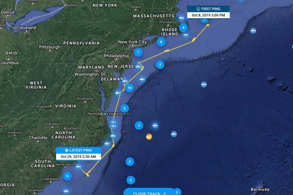 Wo befindet sich der Weiße Hai "Ironbound" und welche Route hat er genommen? Mit "Global Shark Tracker" lässt sich beides verfolgen. (Screenshot)