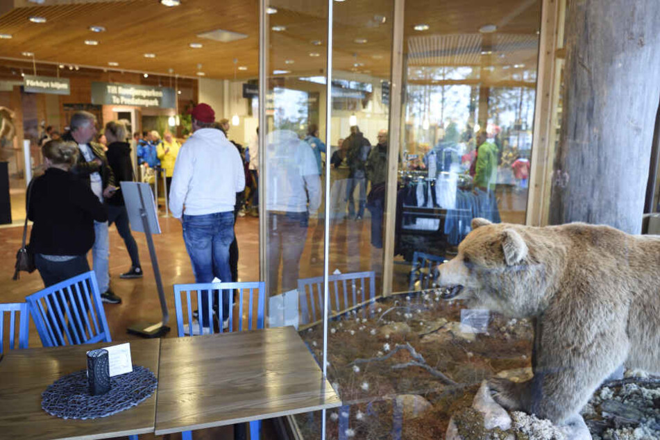 Besucher stehen im Eingangsbereich des Tierparks - neben einem präparierten Bären.