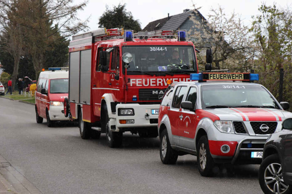 Die Mitarbeiter der Stadt werden dabei von der Wittenberger Feuerwehr unterstützt.