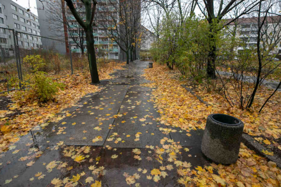 Weil Obdachlose auf den Bänken nahe des Wiener Platzes geschlafen haben, ließ die Stadt sie abbauen.