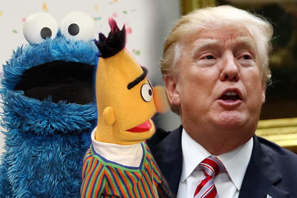 Krümelmonster und Bert vs. Donald Trump.