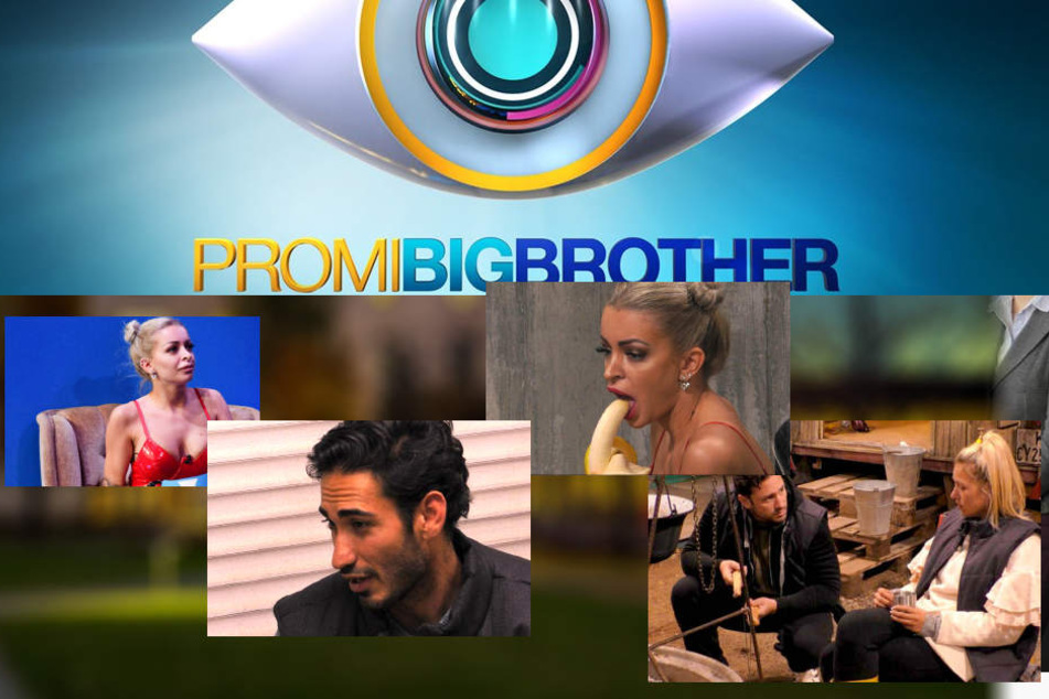 Die Quoten der 2018er PBB-Staffel waren sehr gut für Sat1.