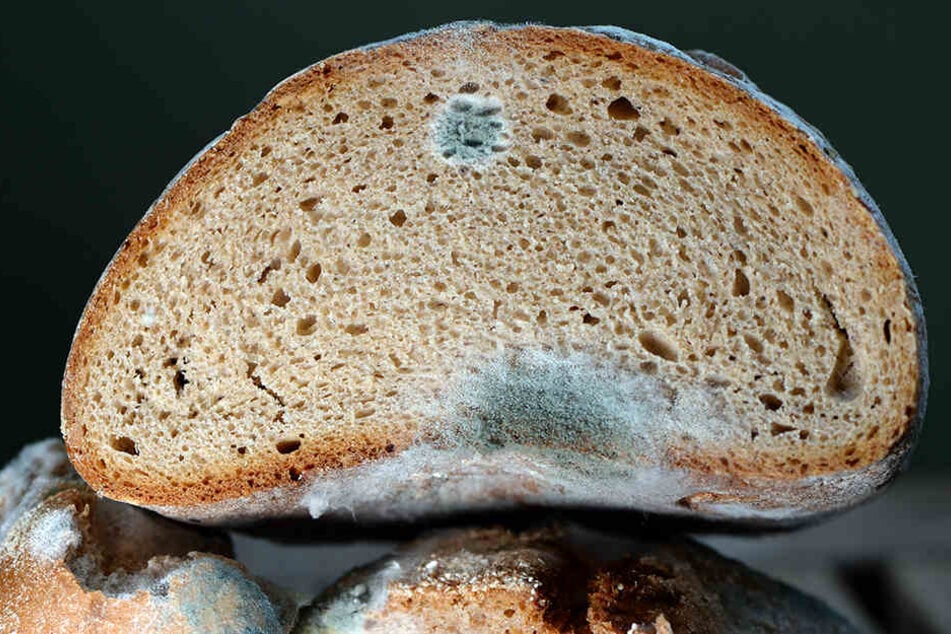 Schimmelbefall am Brot: Über 400.000 Menschen sterben jährlich nach dem Verzehr verdorbener Lebensmittel.