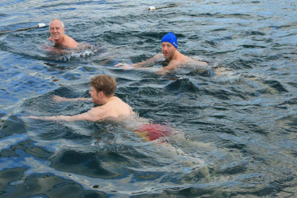 Bei angenehmen 4,2 Grad Wassertemperatur zogen die Wasserratten ihre Bahnen.